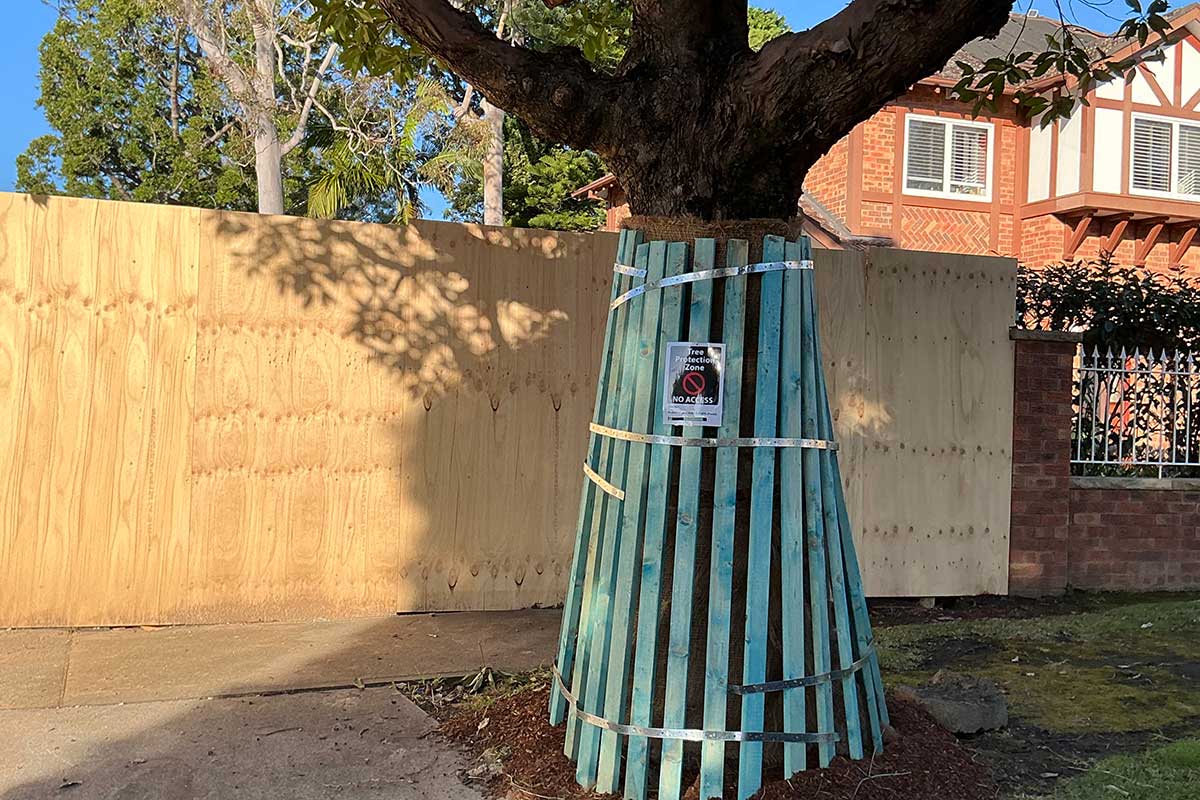 Tree protected with slatted timber TPZ barrier at a construction site for AS 4970 compliance.